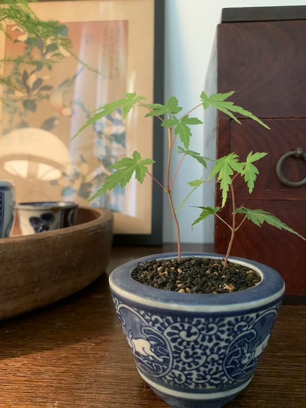 サロン写真１
指圧とは、のページにリンク